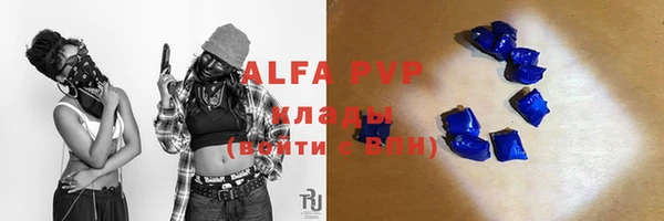 индика Абинск