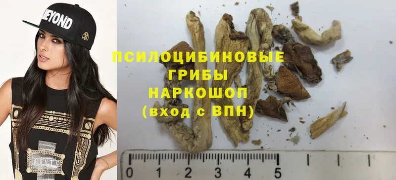 Псилоцибиновые грибы Magic Shrooms  Красноармейск 