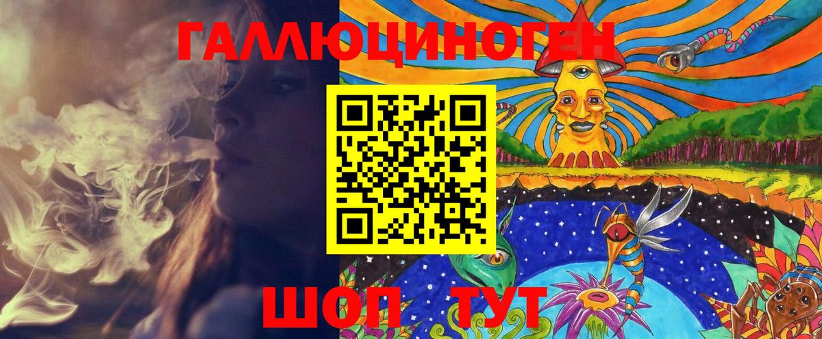 закладка  Красноармейск  Галлюциногенные грибы прущие грибы  Псилоцибиновые грибы Psilocybine cubensis 