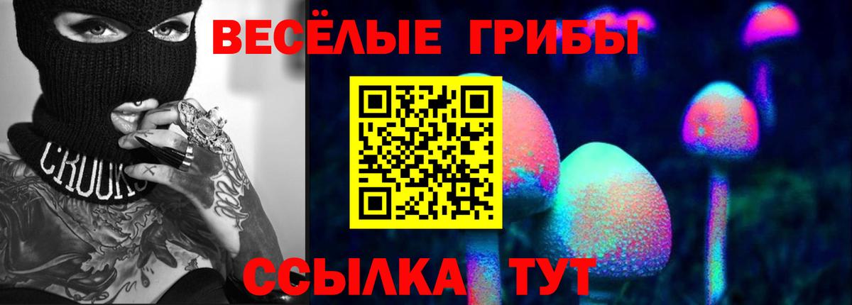 Псилоцибиновые грибы ЛСД Красноармейск
