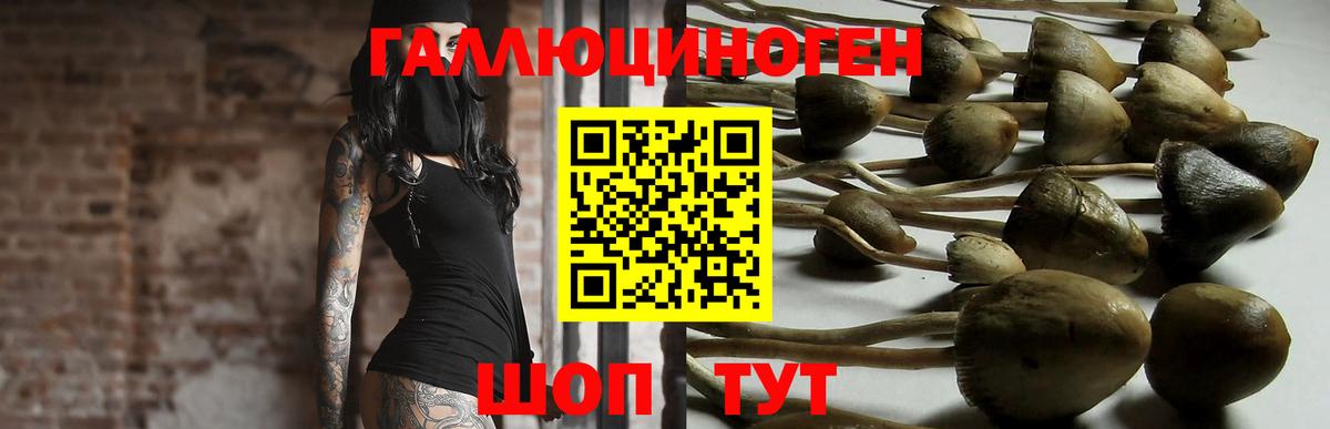 Красноармейск  даркнет сайт  Галлюциногенные грибы мицелий  Вход с VPN  Псилоцибиновые грибы прущие грибы 