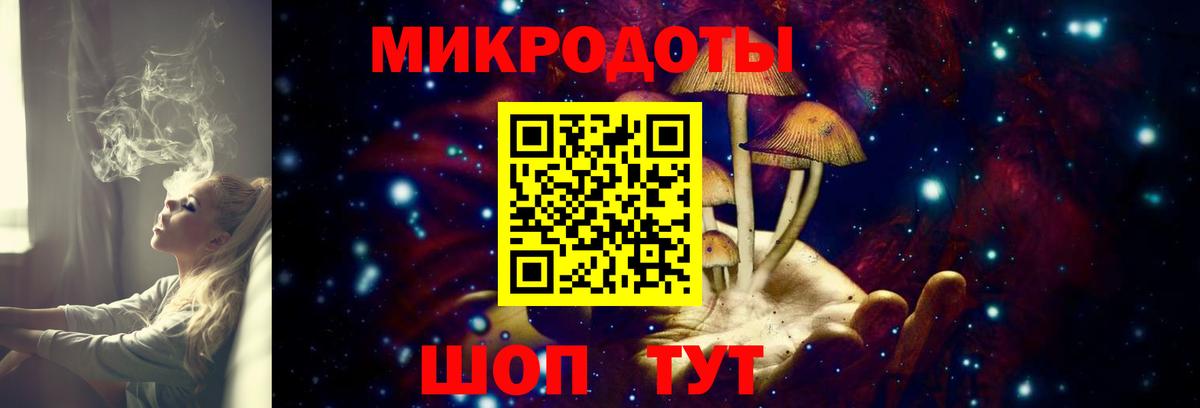 Псилоцибиновые грибы Cubensis Красноармейск